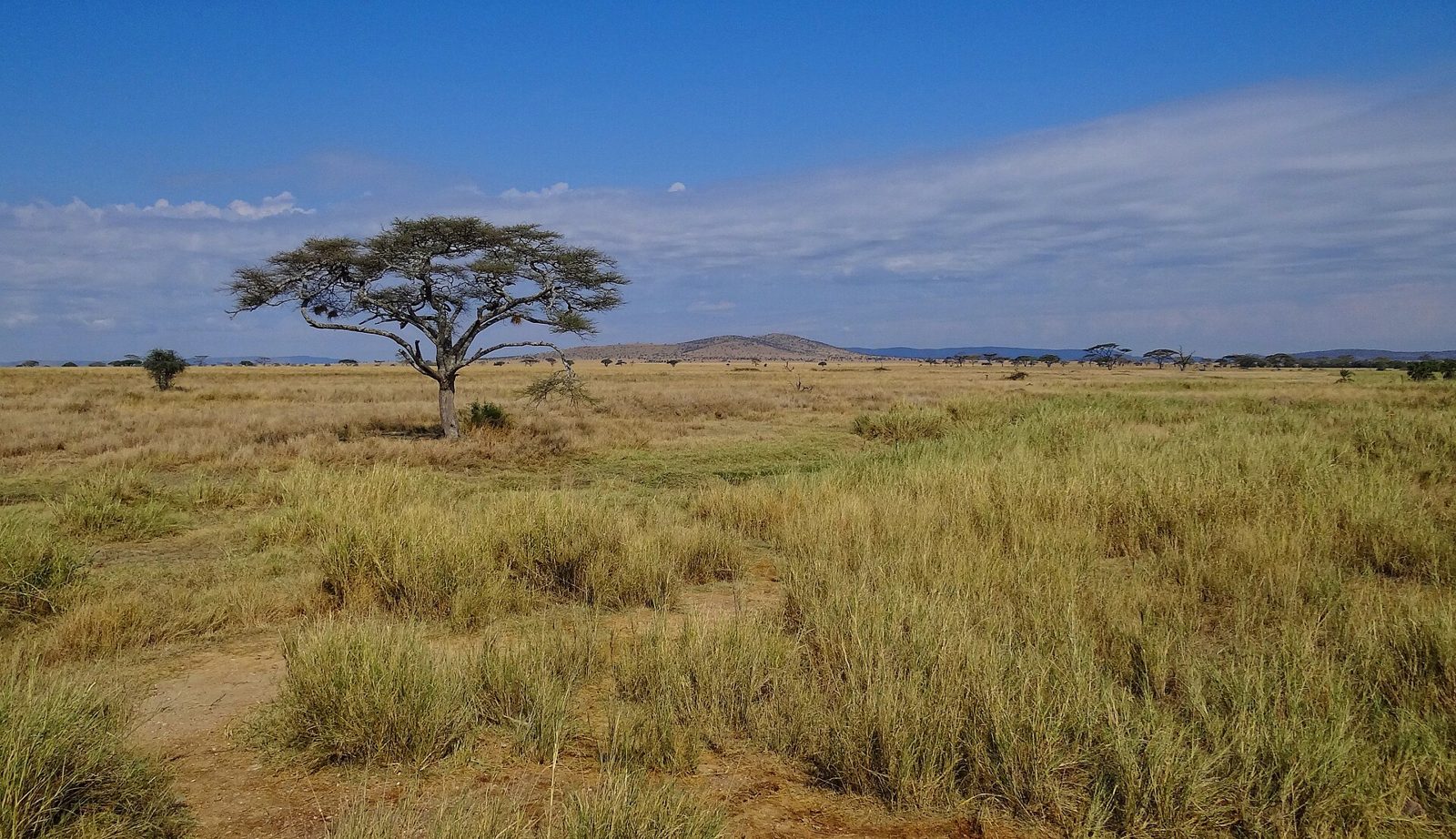Photograph taken in Africa
