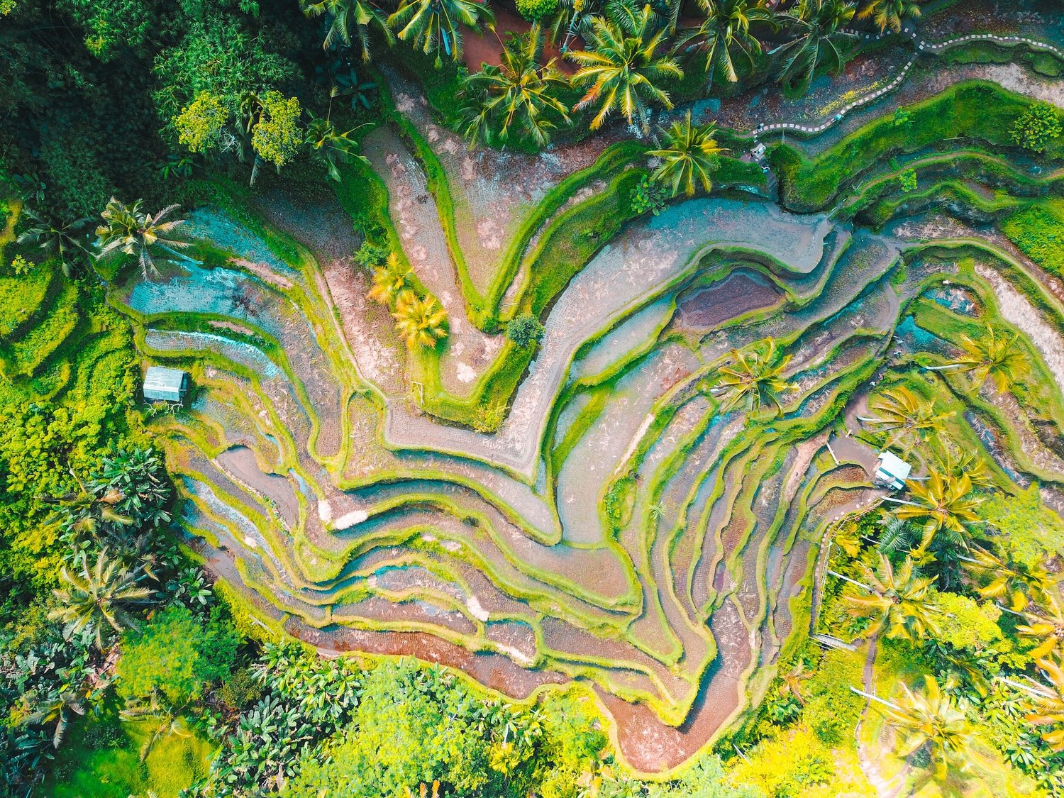 Photograph taken in Asia