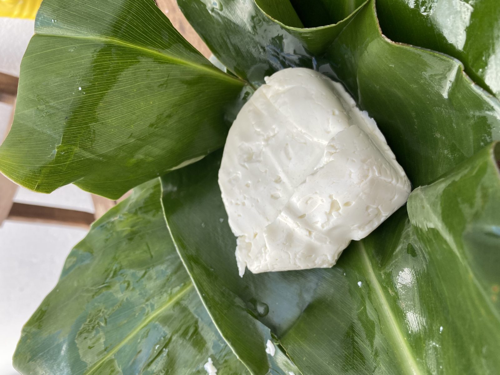A round of fresh white cheese sitting on green leaves