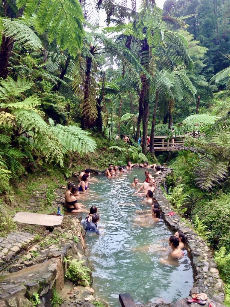 A long stone-lined thermal pool with people bathing, surrounded by tree ferns and dense green growth