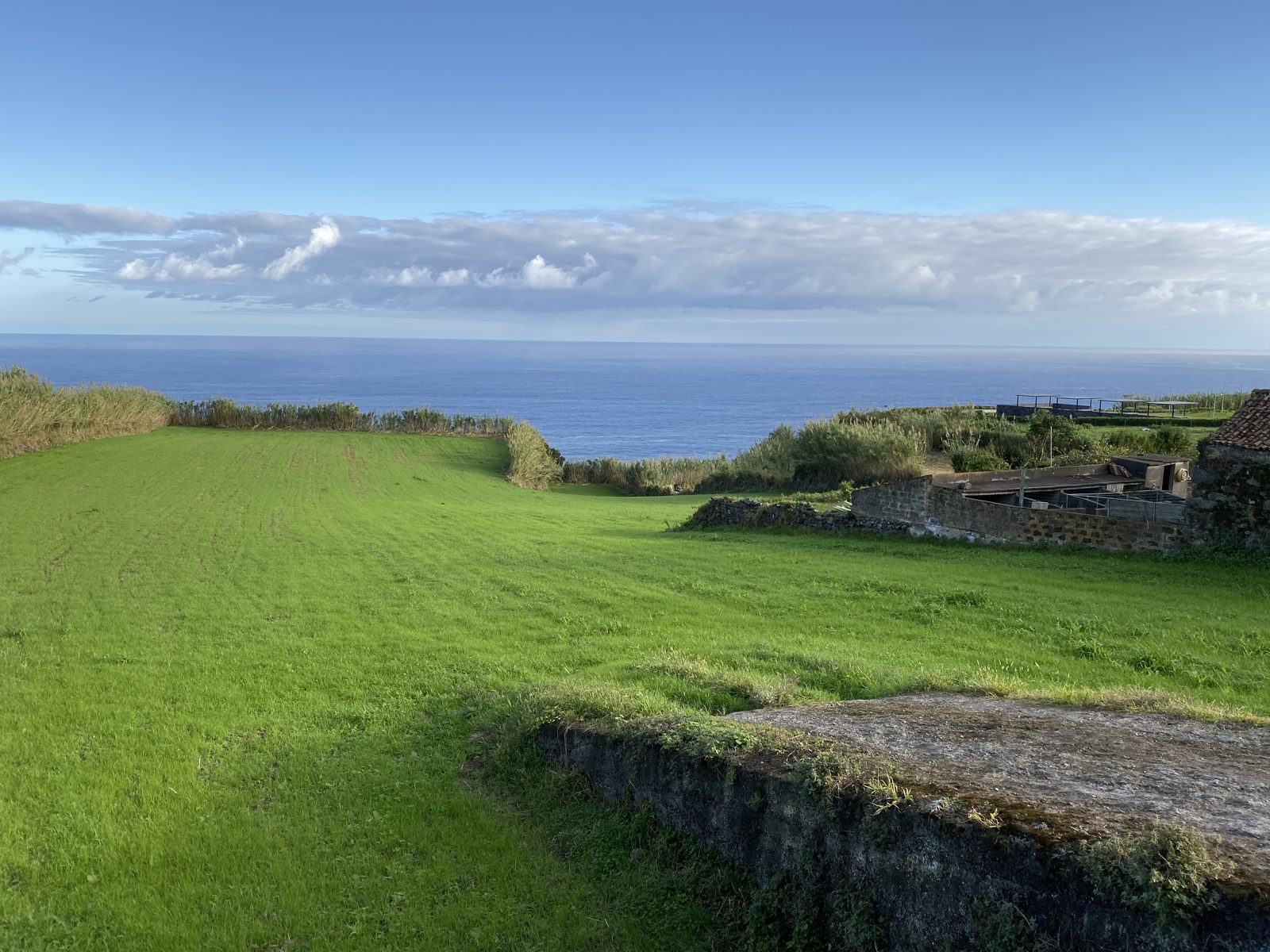 Green pasture running down to a low stone wall and the open Atlantic beyond