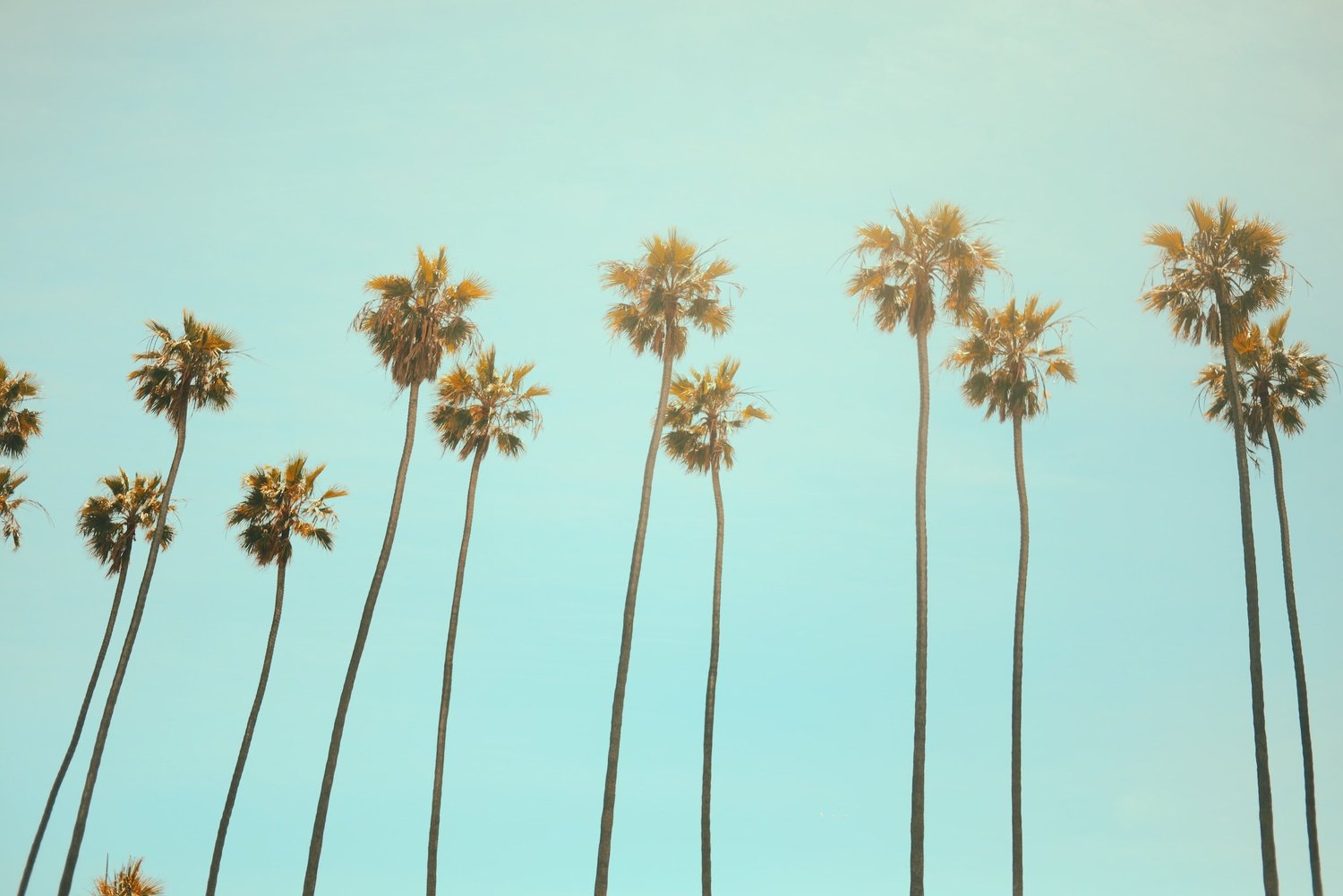 A photograph of California