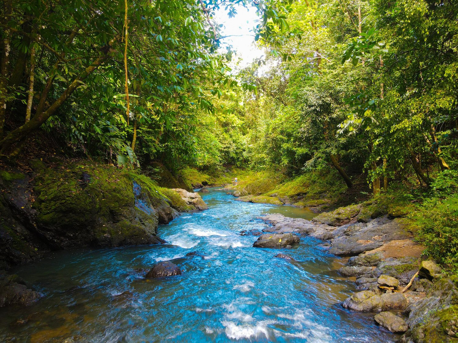 A photograph of Costa Rica