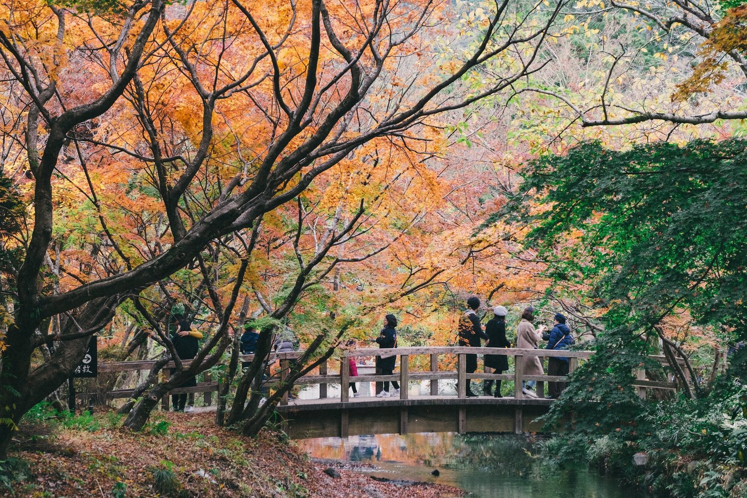 A photograph of Kyushu