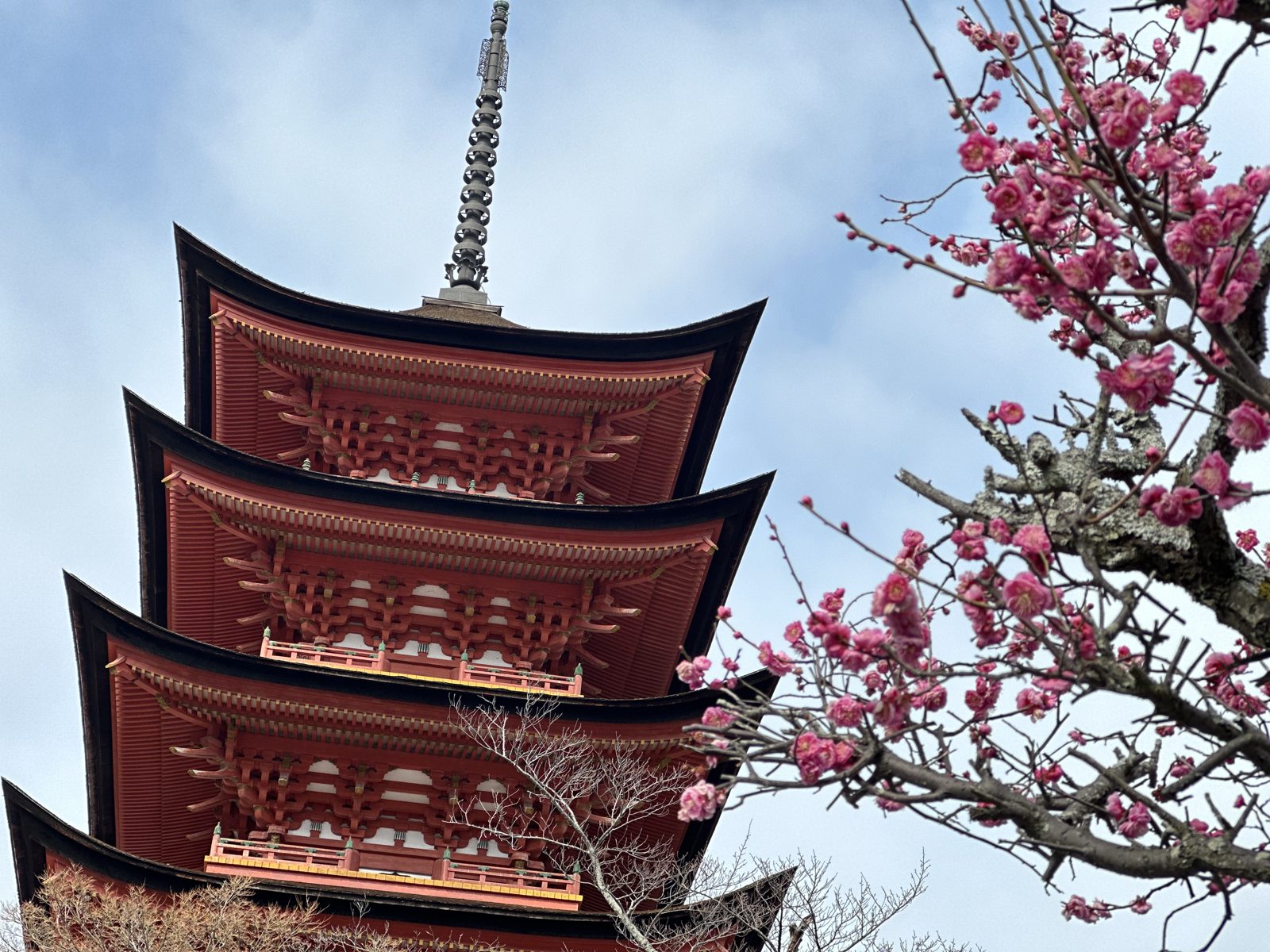 The five storey pagoda at Miyajima in red and black, framed by a branch of pink plum blossom