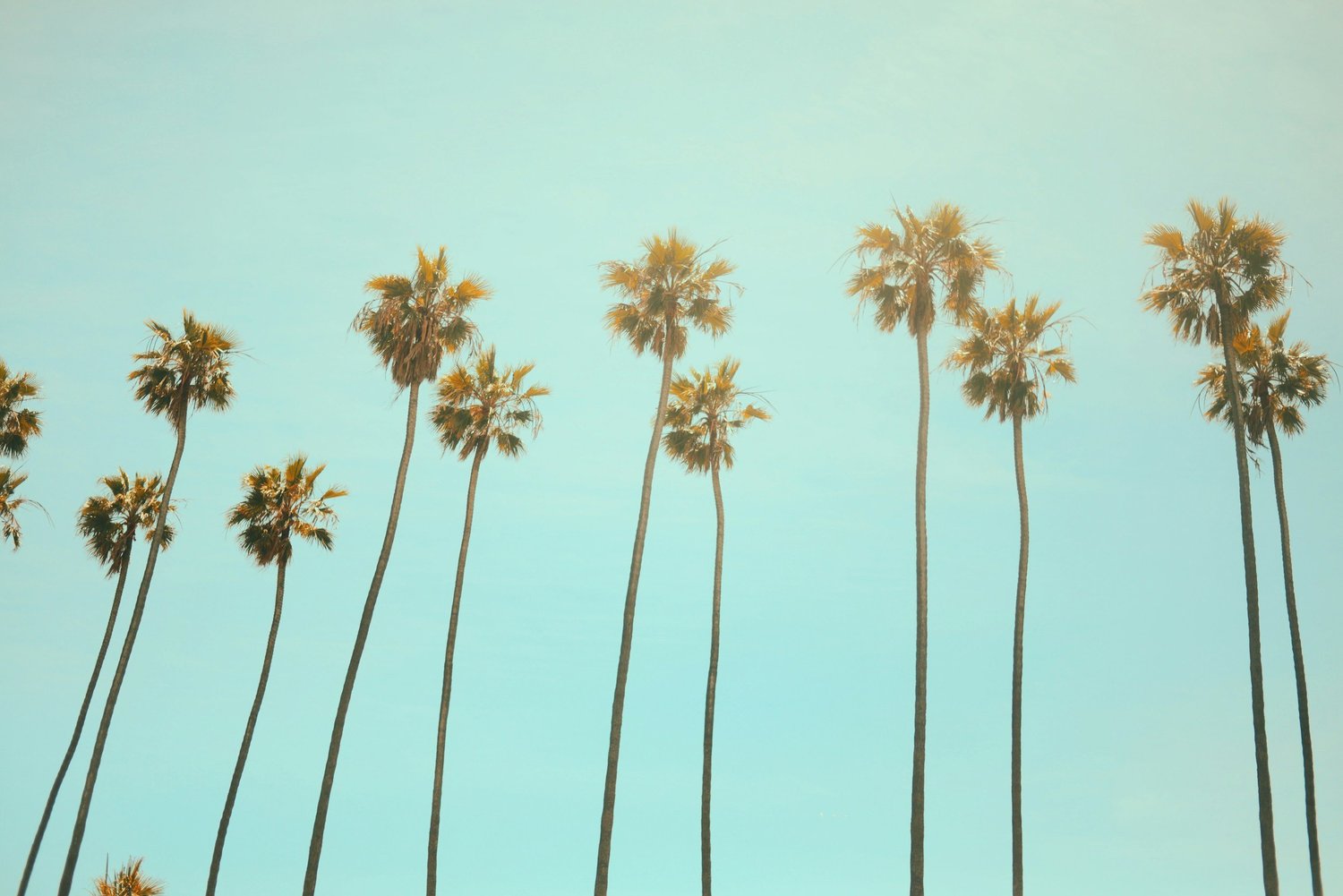 santa_barbara