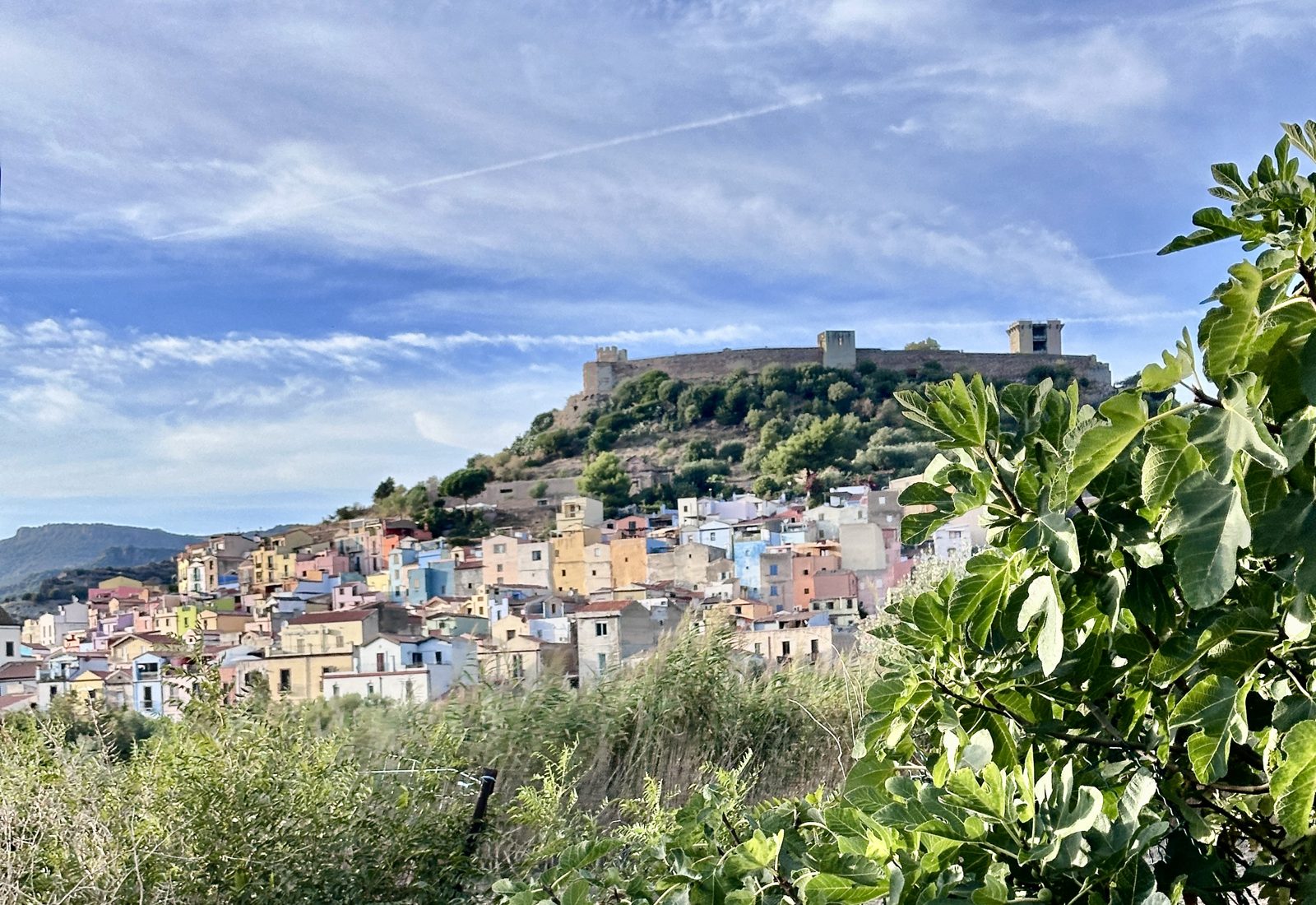 The old town of Bosa climbing the hillside in pink, blue, yellow and orange houses, with Castello Malaspina on the ridge above and a fig tree in the foreground