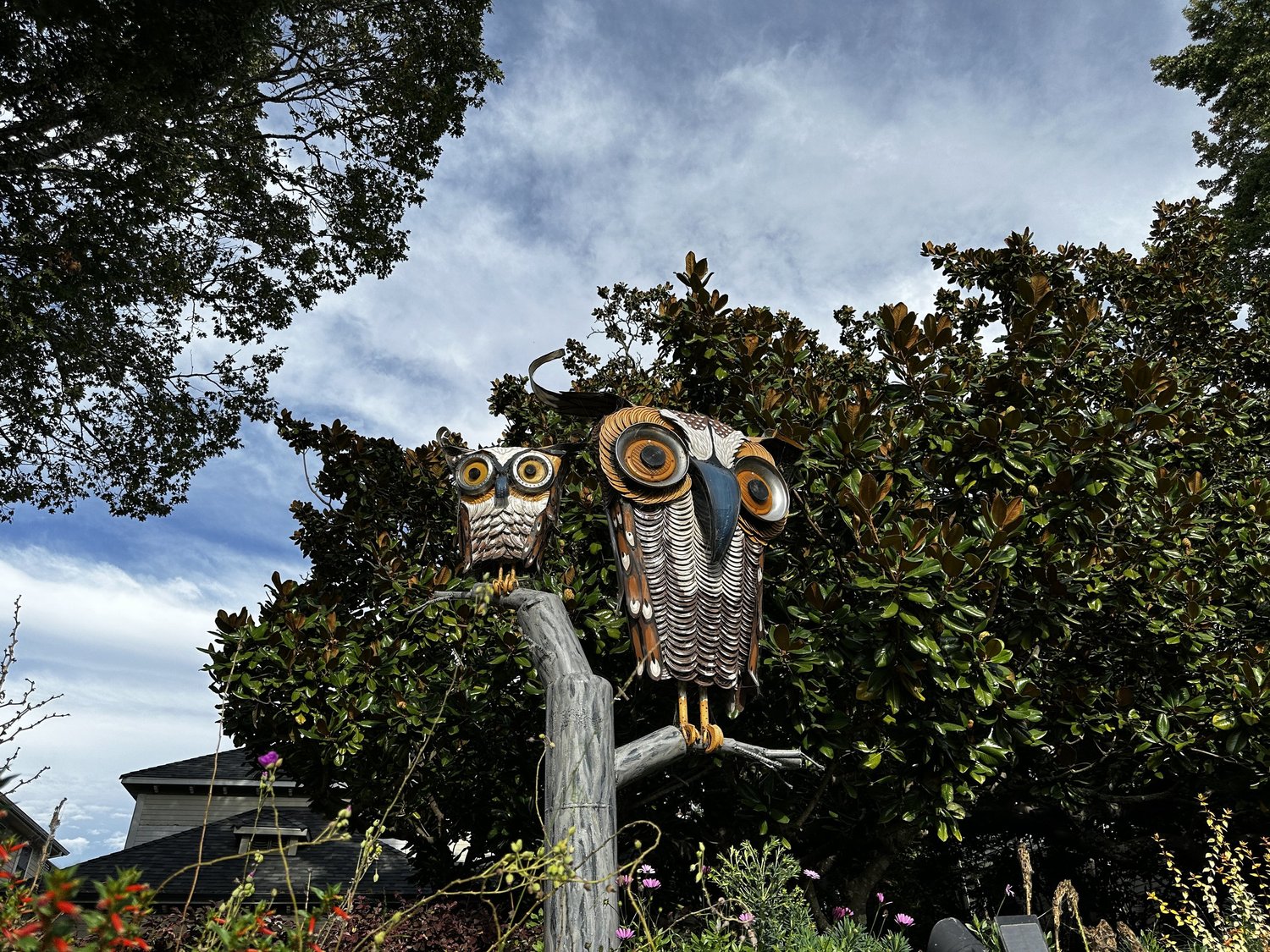 Two metal owl sculptures with wide orange eyes perched on a branch against a magnolia tree