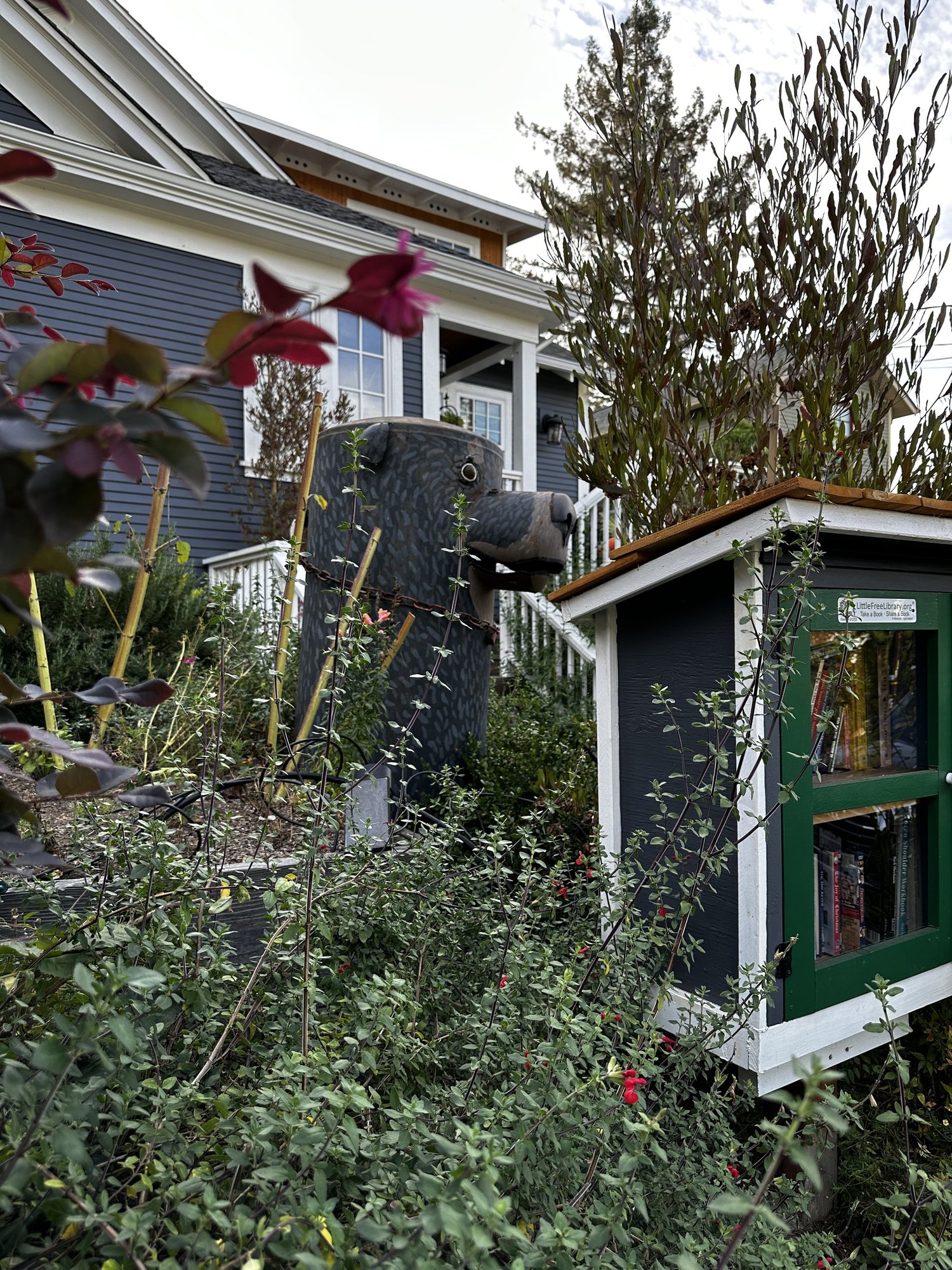 A dark metal dog sculpture standing beside a Little Free Library book box in a planted front yard