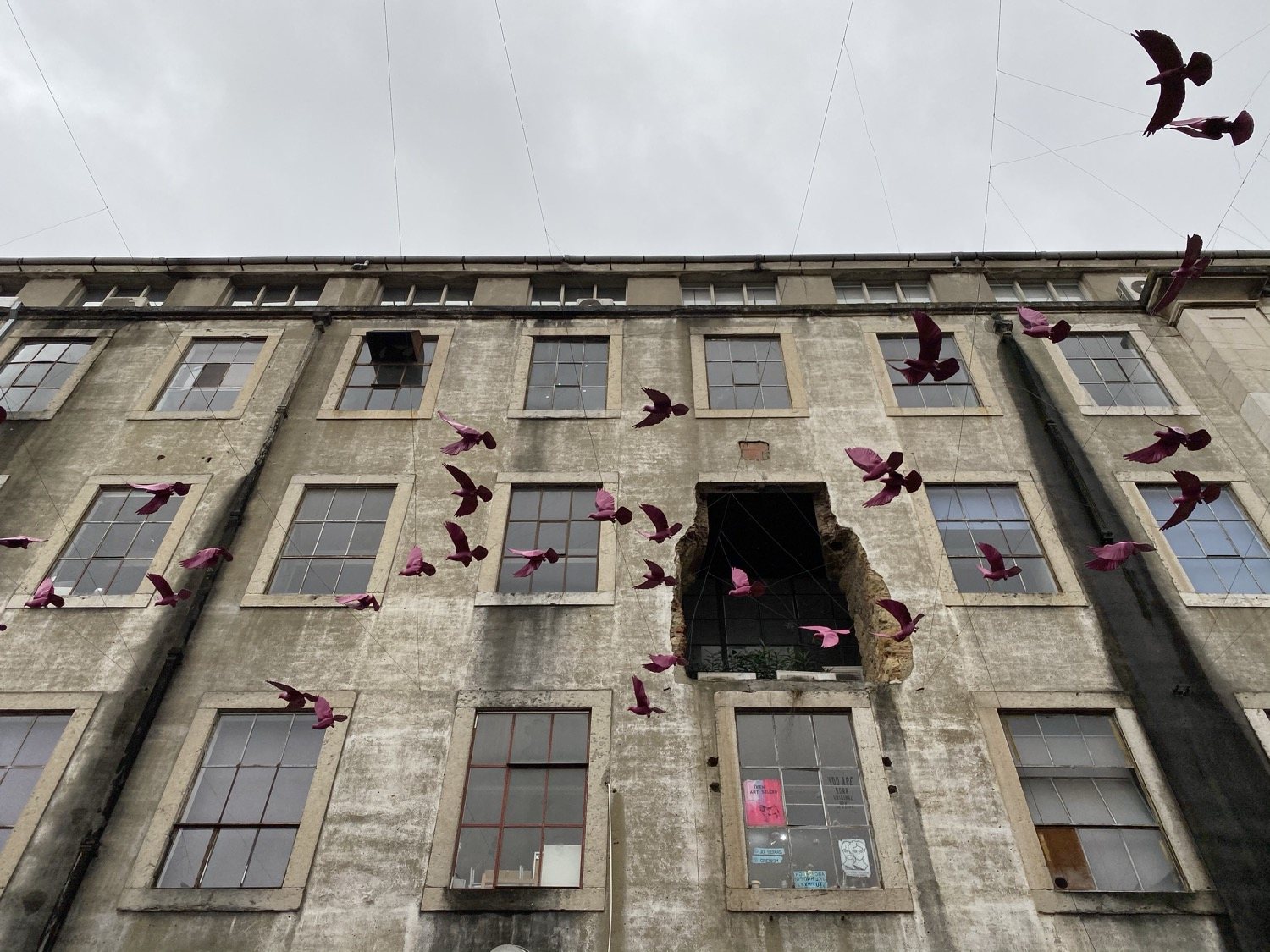 Magenta pigeon sculptures strung on wires across the weathered facade of an old LX Factory building