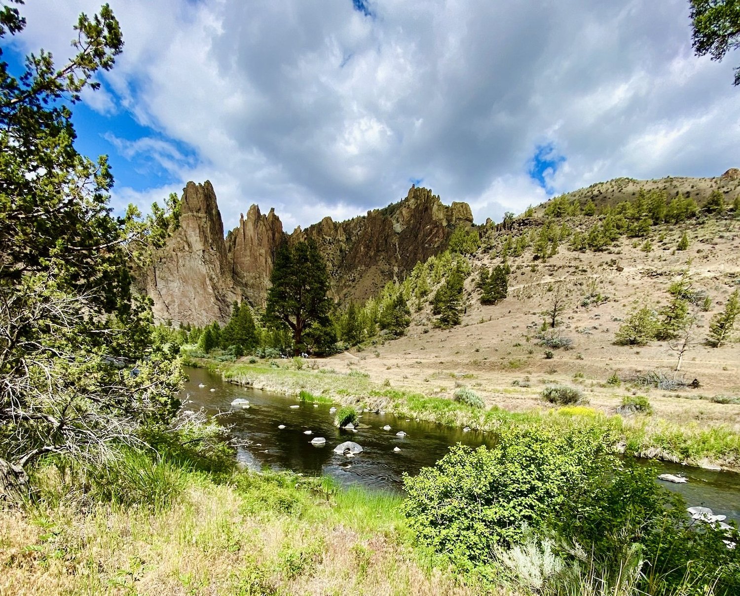 The Crooked River curving below the jagged cliffs of Smith Rock, its banks thick with spring green
