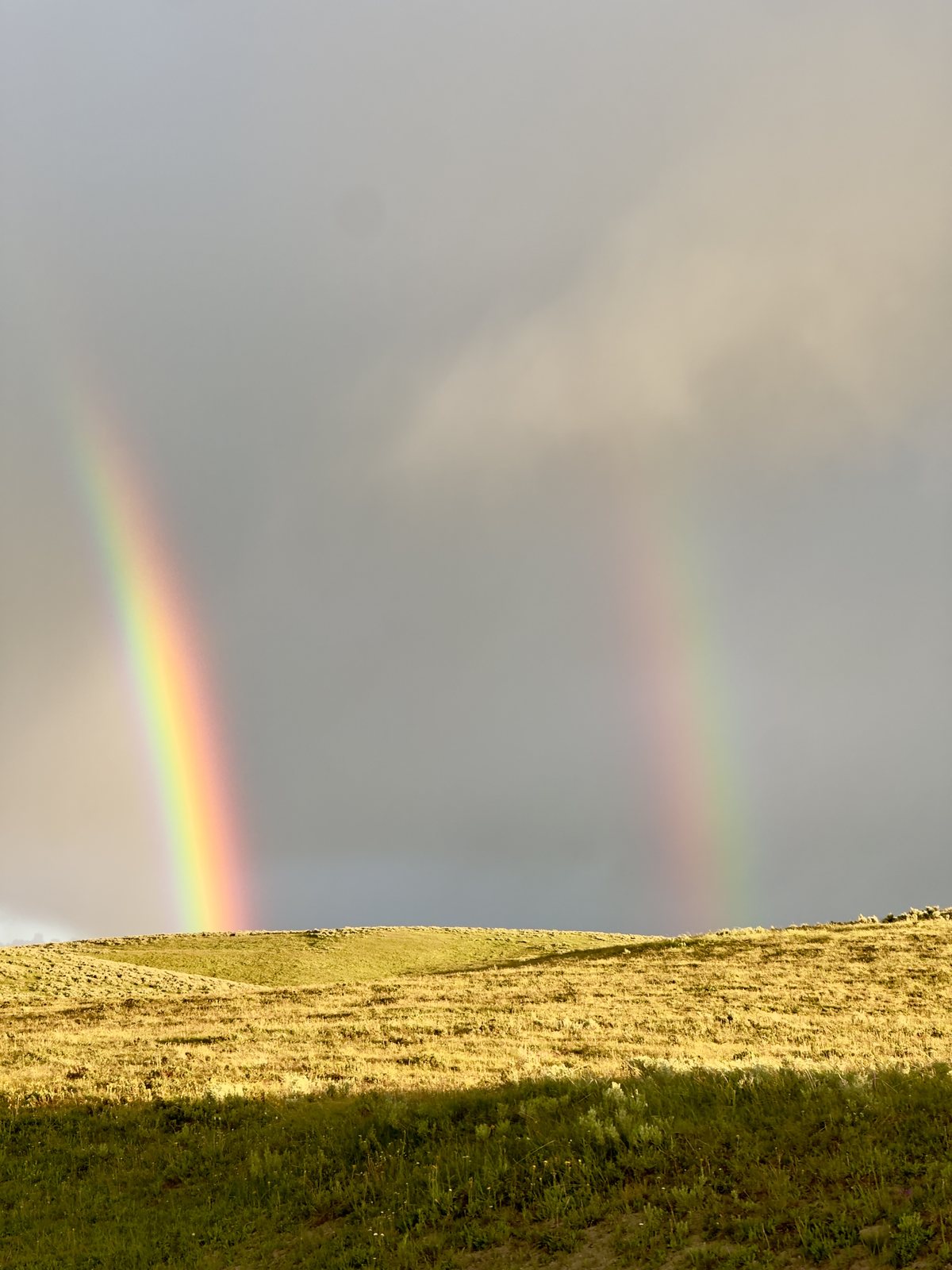 A double rainbow standing over golden hills after a rainstorm