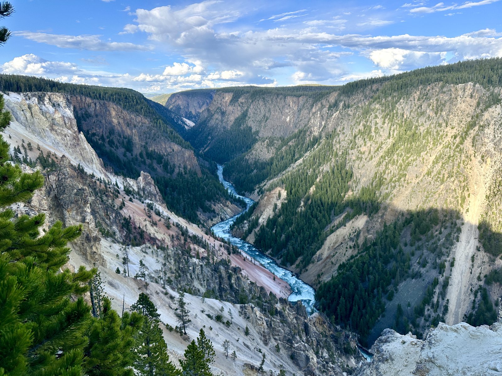 The Grand Canyon of the Yellowstone, its pale yellow walls dropping to the river far below