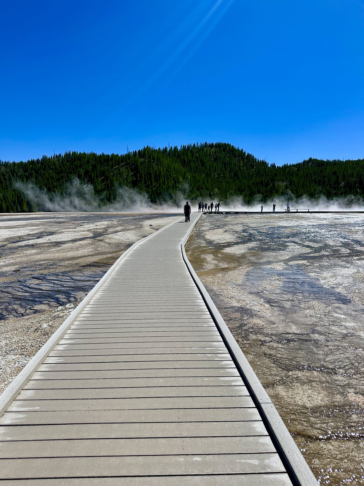 A boardwalk curving across the pale crust of the Grand Prismatic basin, with a few walkers ahead