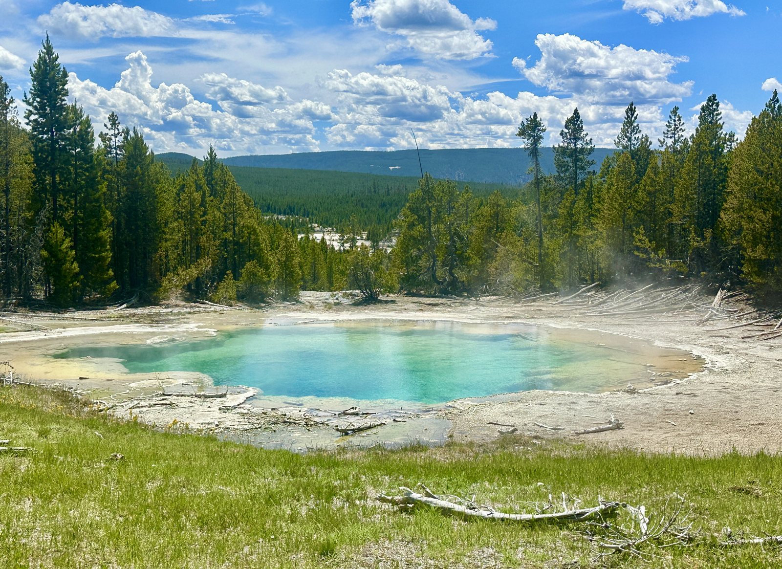 A turquoise hot spring pool ringed by pale mineral crust and lodgepole pines