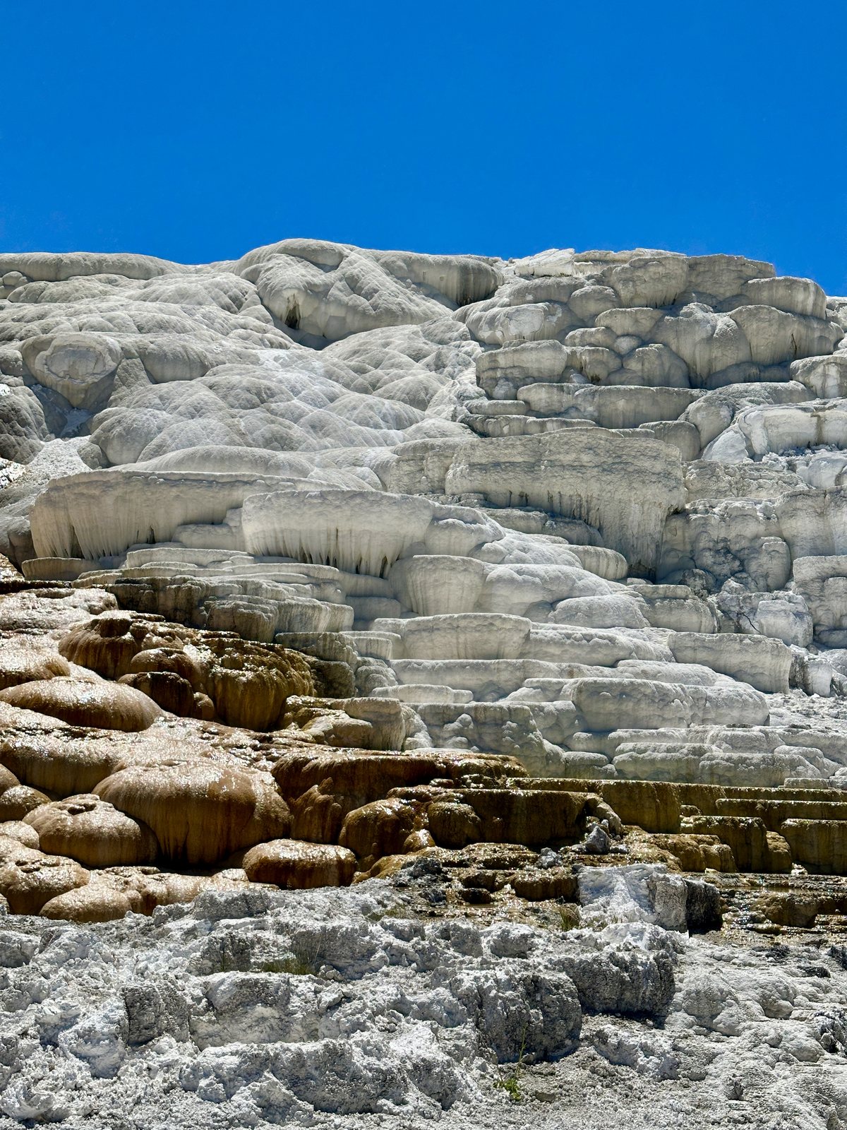 White travertine terraces at Mammoth Hot Springs stepping up against a deep blue sky