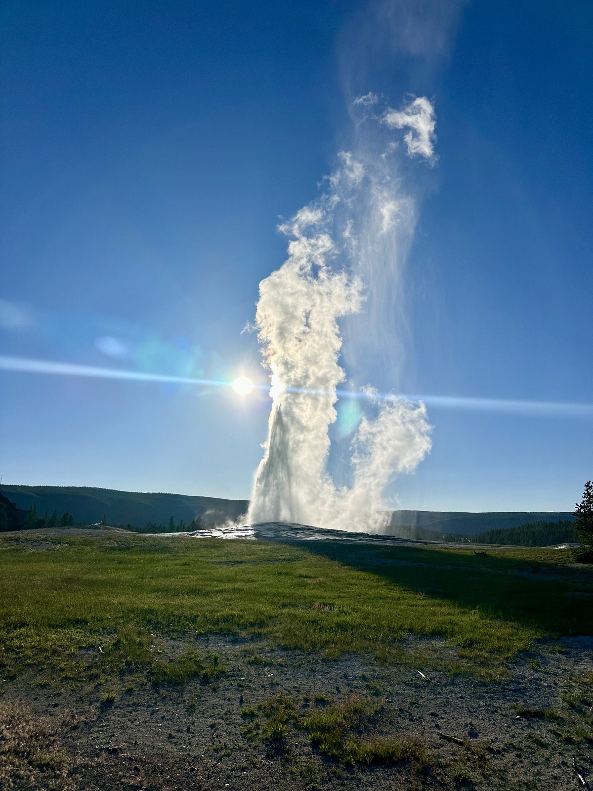 Old Faithful erupting into a clear blue sky, the sun flaring beside the column of steam